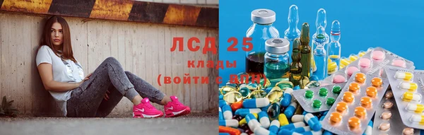 крисы Алзамай