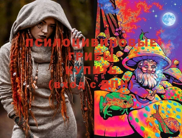 крисы Алзамай