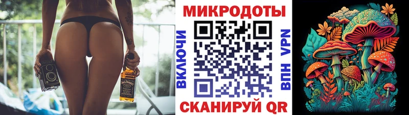 Галлюциногенные грибы мухоморы  Наволоки 