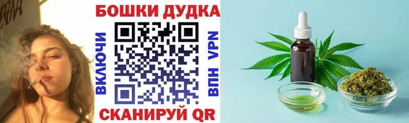 kraken онион  Наволоки  Шишки марихуана сатива 
